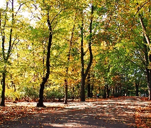 Jesienny, Park