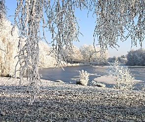 Drzewa, Białe, Mróz, Jezioro
