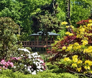 Rododendrony, Kolorowe, Park, Altana
