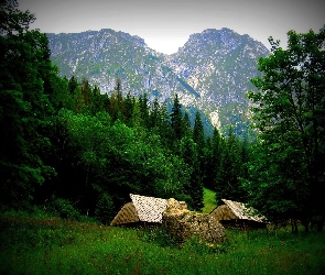 Góry, Krajobraz, Las, Dolina, Strążyska, Szałasy, Tatry