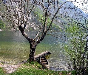 Drzewo, Łódka, Jezioro, Pomost
