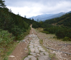 Szlak, Górski