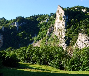 Skały, Lasami, Porośnięte