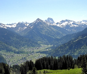 Kanisfluh, Austria, Drzewa, Góry, Dolina, Ośnieżone