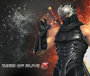 Ryu Hayabusa, Dead Of Alive 5