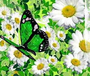 Kwiaty, Grafika, Zielony, Motyl, Rumianek