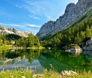 Jezioro, Lasy, Chmury, Góry