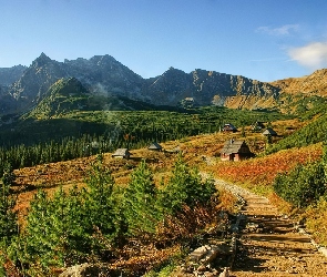 Ścieżka, Szałasy, Góry, Dolina
