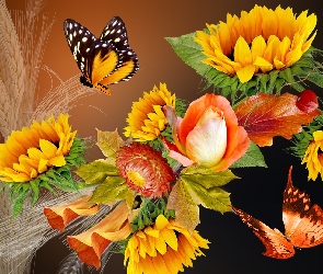 Kwiaty, Motyle, Zbóż, Kłosy