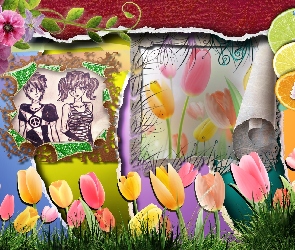 Tulipany, Pomarańcz, Kwiaty, Cytryna, Trawa