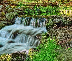 Wodospad, Roślinność, Skały