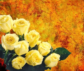 Żółtych, Róż, Bukiet