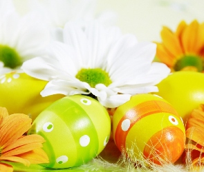 Jajka, Margerytki, Wielkanocne