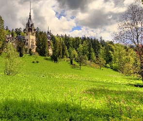 Łąka, Wzgórzu, Zamek, Na