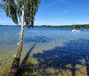 Brzoza, Jezioro, Łódki, Jachty, Kajaki, Fale