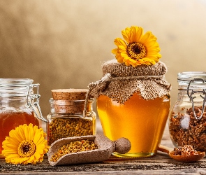 Propolis, Gerbery, Miód