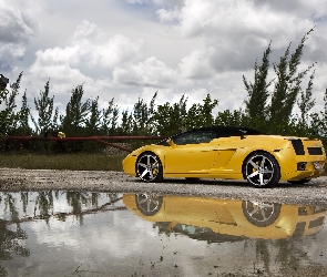 Żółte, Felgi, Lamborghini