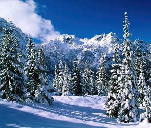 Śnieg, Góry, Zaśnieżone, Drzewa
