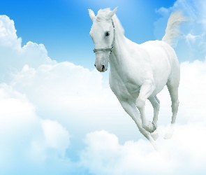Niebo, Chmury, Koń