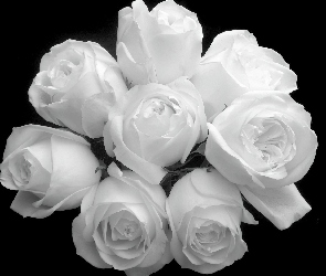 Róże, Czarno-Białe, Bukiet