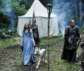 Game of Thrones, Gra o tron, Aktorka, Sophie Turner, Rycerze, Pies, Sansa Stark