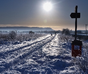 Słońce, Krzewy, Droga, Śnieg