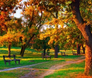 Park, Ławka, Jesień, Drzewa