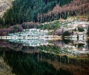 Odbicie, Woda, Góry, Lasy