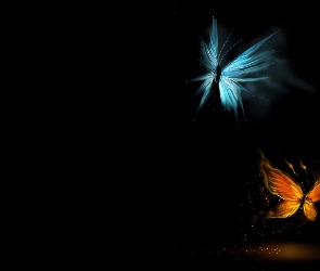 Motyle, Grafika