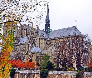 Francja, Paryż, Katedra, Notre Dame