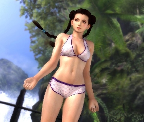 Dead Or Alive 5, Pai