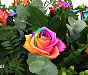 Bukiet, Tęczy, Kolory, Róże, Kwiaty