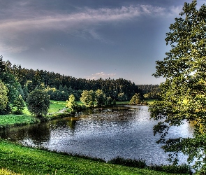 Kąpielisko, Las, Jezioro