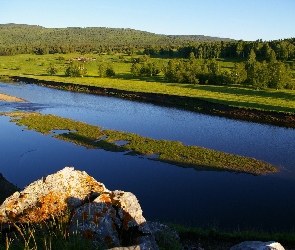 Lasy, Rzeka, Łąki