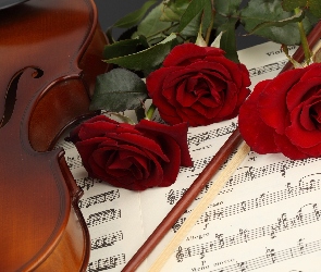 Skrzypce, Róże, Muzyczny, Nuty, Instrument