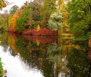 Rzeka, Jesieni, Kolorowe, Drzewa