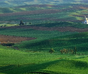 Wzgórza, Budynki, Zielone