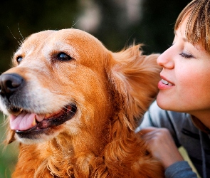Dziewczyna, Retriever, Pies, Golden