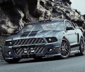 Ford Mustang, GT500