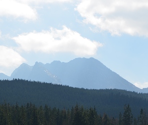 Niebo, Las, Góry