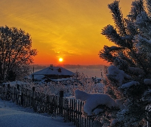 Zachód, Zima, Drzewa, Domek, Słońca