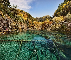 Lasy, Jezioro, Chiny, Park Narodowy Jiuzhaigou
