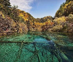 Chiny, Lasy, Jezioro, Park Narodowy Jiuzhaigou