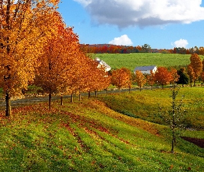 Jesień, Łąka, Drzewa, Krajobraz