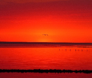Zachód Słońca, Jezioro, Czerwony