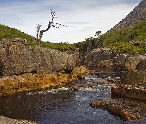 Roślinność, Skały, Narodowy, Park, Rocks, Rzeka