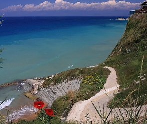 Ocean, Klif, Maki, Ścieżka