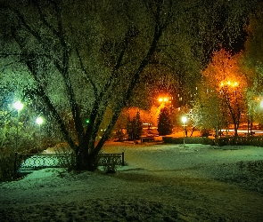Drzewa, Zima, Noc, Lampy, Park