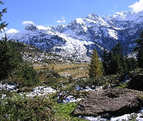 Góry, Austria, Drzewa, Dolina, Ośnieżone