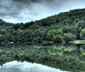Las, Odbicie, Jezioro